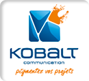 Logo kobalt ws